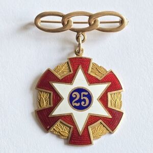 Vintage 10k gold Odd Fellows jewel pin brooch 25 years enamel Oddfellows